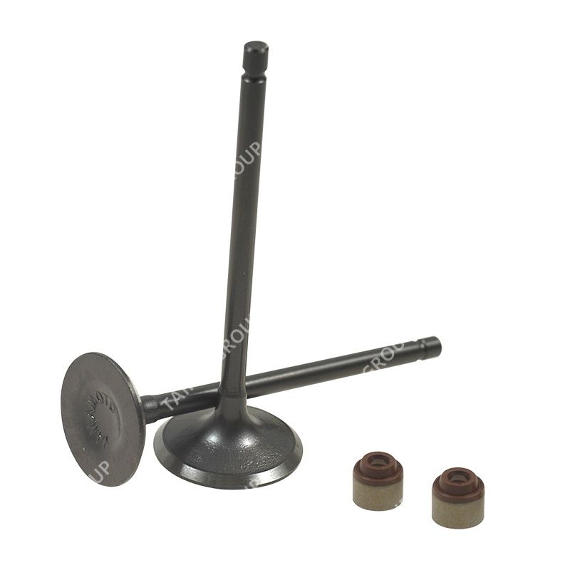 Yamamoto Motorcycle Accessories Motorcycle Intake Valve and Exhaust Valve/Valve Guide/Valve Seat/Engine Valve for Bajaj-Boxer