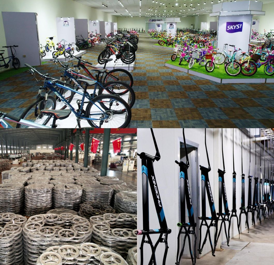 20 Inch Steel Frame Multi Gears Adult MTB Bicycle Mountain Bike