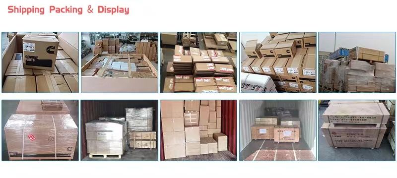Cat Cumminss Dcec Xece Ccec Foton Boscch Volv Hyundai Kamatsu Construction Machinery Excavator Engine Parts Car Parts Fuel Injector Pump Injector