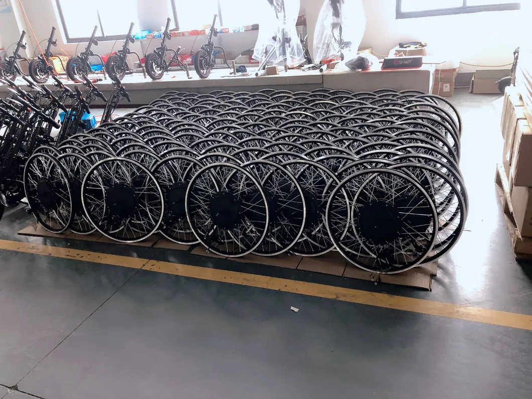 48V 1000W Gearless Motor Electric Bicycle Conversion Kits