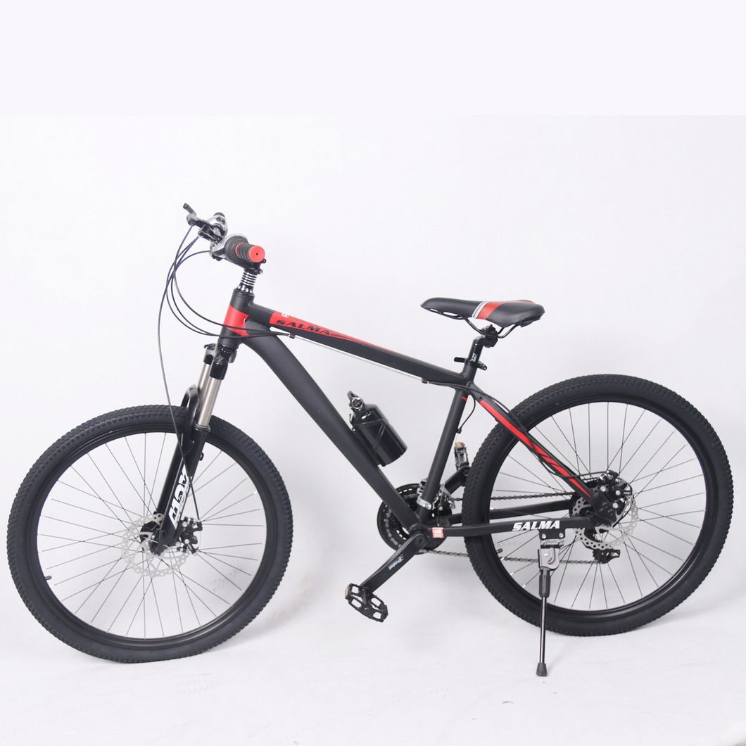 26 Size MTB Bicycle with Spoke Wheel 21 Speed (9635S)