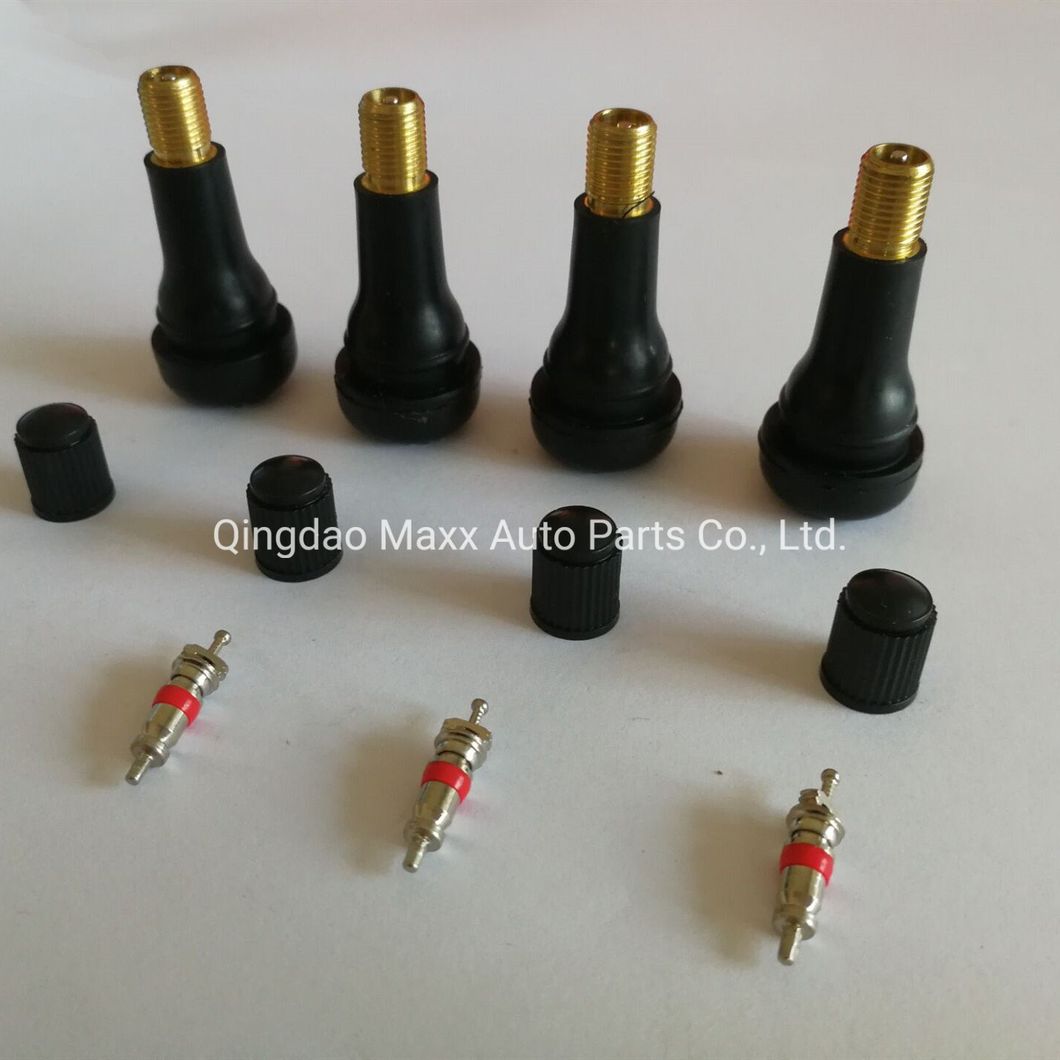 Snap in Tire Tyre Valve Stem for Passenger Car Universal