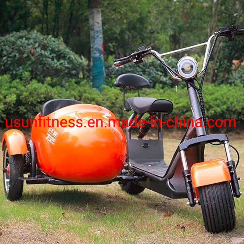 Mother and Son Tricycle Side Tricycle Electric Motorcycle with Big Cargo Box