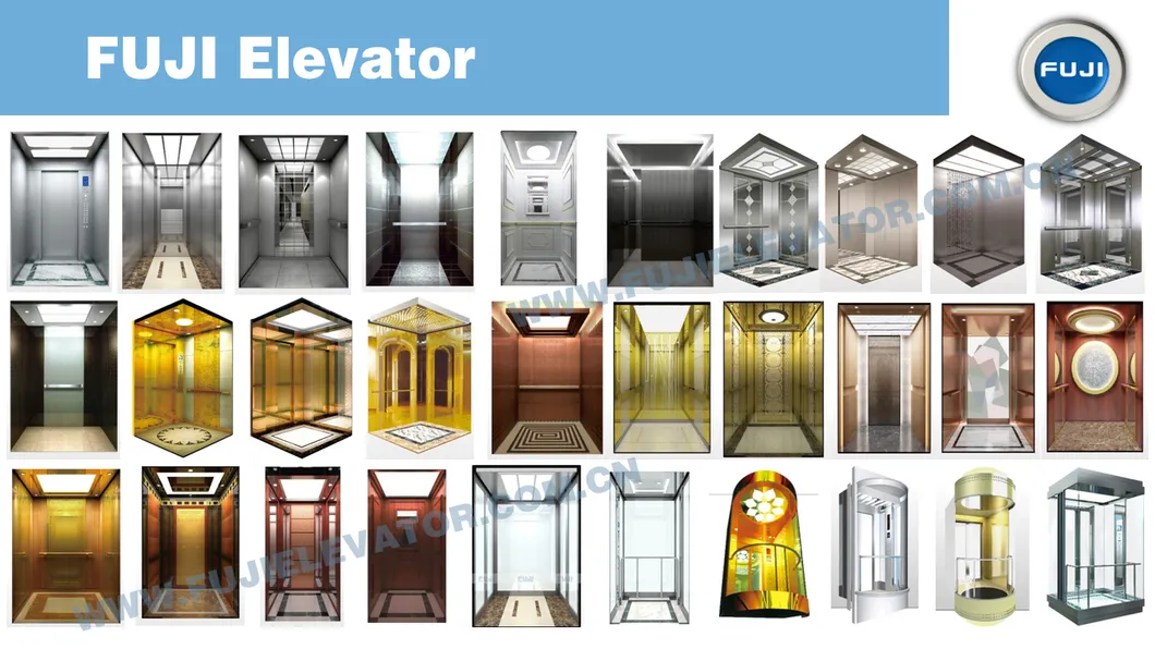 FUJI 630kg Panoramic Lift Observation Elevator for Shopping Center