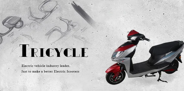 2022 High Quality Cheapest Mobility Made in China 2 Wheels Citycoco Electric Scooters Best Price CKD