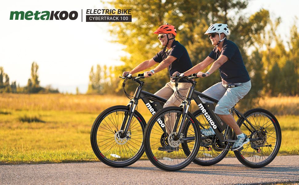 Front and Rear Disc Brakes Adult 2 Wheel Electric Bicycle 26&quot; 36V Electric Bicycle for Woman