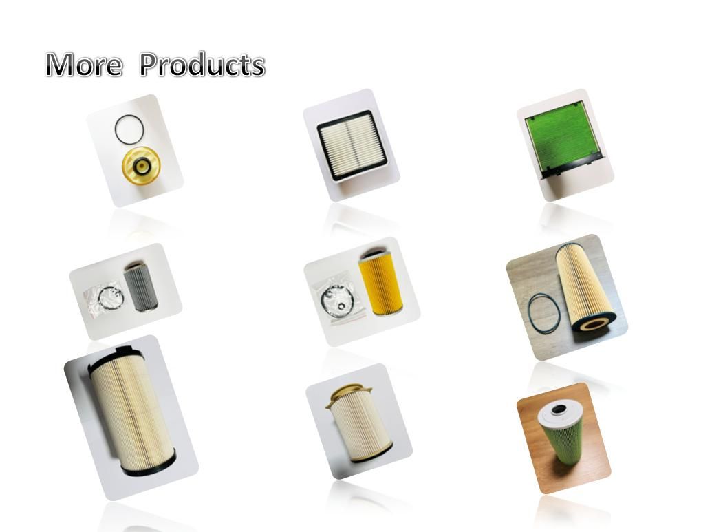 Auto Filter, Oil Filter, Engine Oil Filter, OEM Number 11421713688 /E80HD24/ H952X/ Ox121d for BMW 11421713688/	11421731635