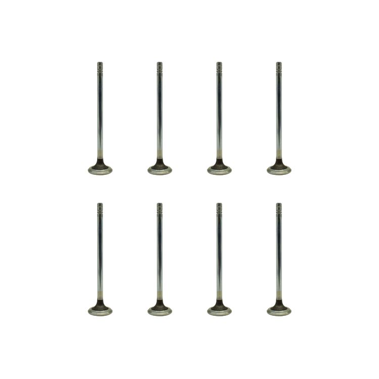 Long Life-Span 1W3860 Engine Valve for Cater Pillar 245 825c 621b 769