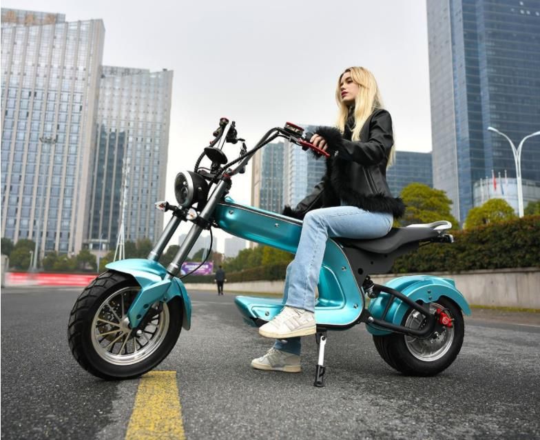 2022 New Design 60V 2000W/3000W Motor Electric Motorcycle 10 Inch Aluminum Wheel Citycoco