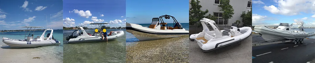 Liya 8.3m Speed Rib Boats Rigid Hull Inflatable Passenger Boat Cabin Fishing Boats for Sale