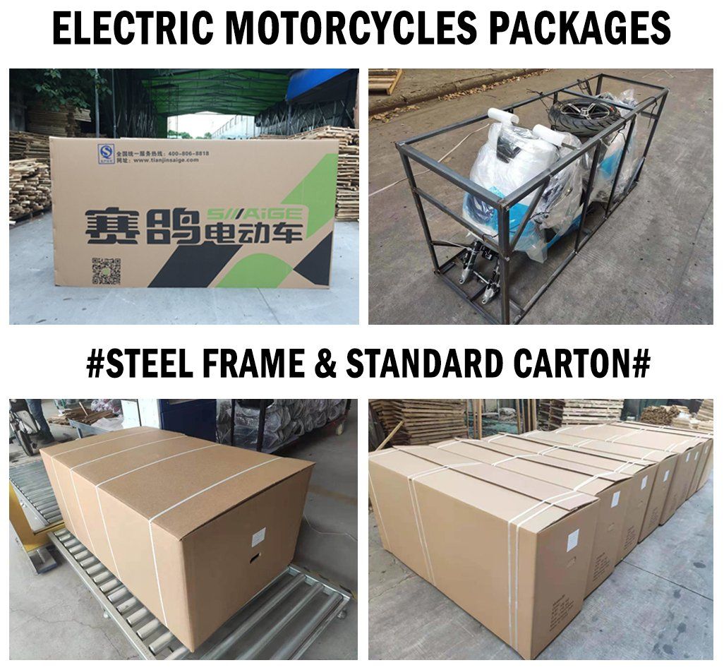 EEC Coc for Europe Market Hot-Selling E-Scooter 630W 48V Adult E-Bike 40-60km with OEM