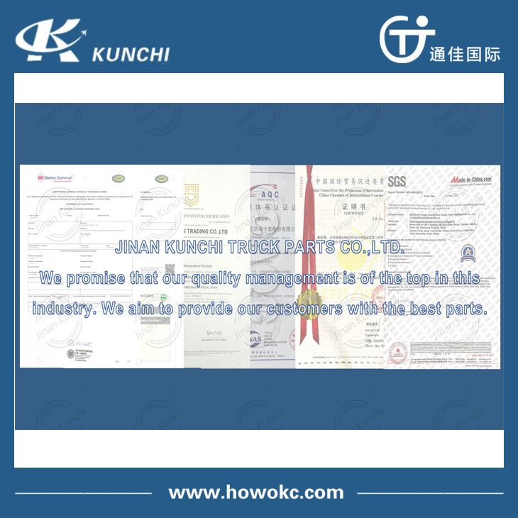 Sinotruk HOWO Steyr/Shacman/Foton/FAW Axle Differential/Differential Assembly Az9981320136