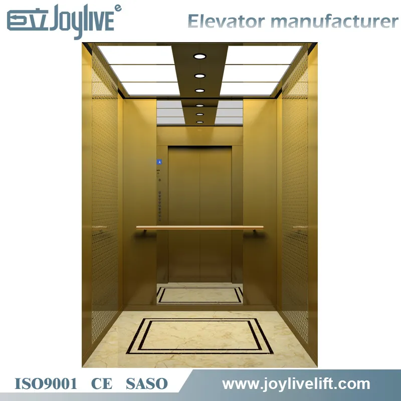 Small Home Apartment 800kg Passenger Elevator Lift