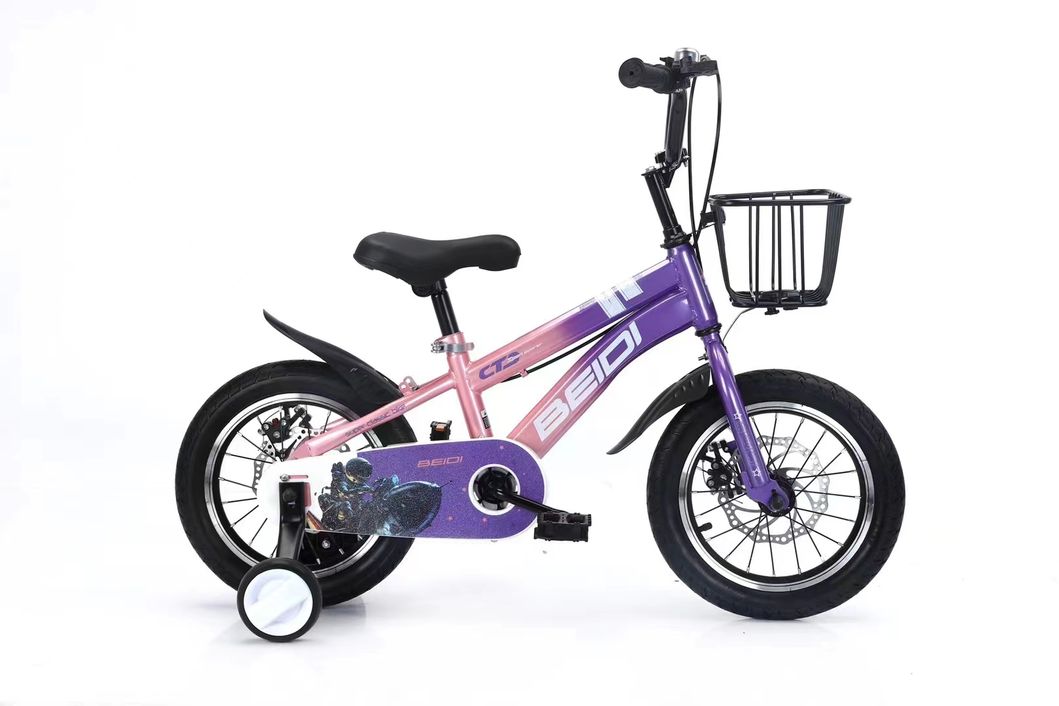 New Model Kids Bicycle with Double Disc Brake and All Chain Guard
