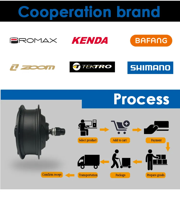 48V 750W Geared H06 High Torque BLDC E Bike Brushless DC Motor for Fat Tyre Ebike