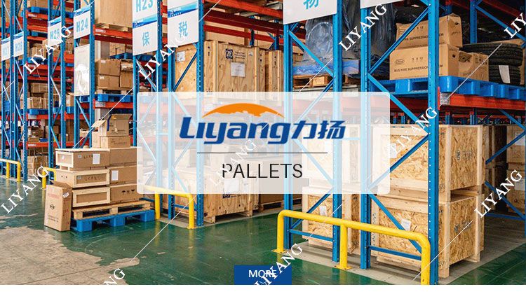 Lytw-1111d Light Type 100% Virgin PP Six Runner Plastic Pallet