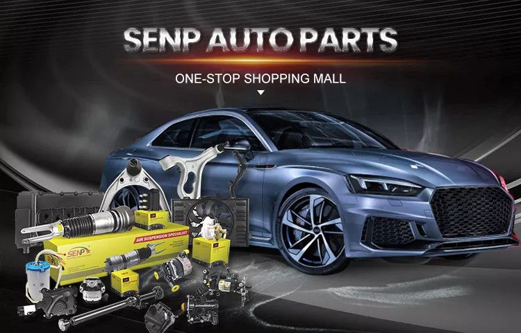 Senp Auto Cooling System Auxiliary Water Pump 4h0 965 567 a 4h0965567A 4h0 965 567 4h0965567 for Audi A6 A7 A8 Q7 2.0L 3.0L