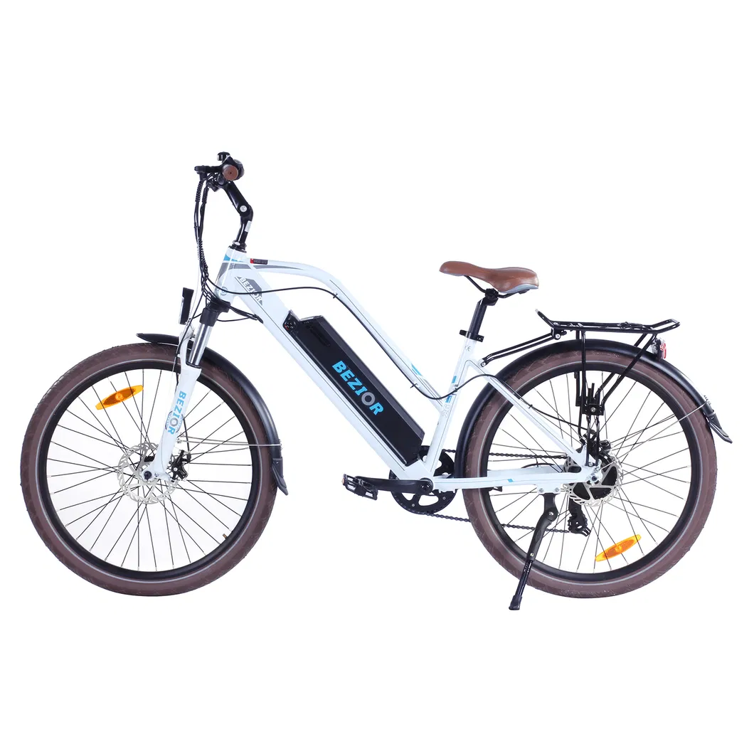 City Electric Bike with 48V/250W