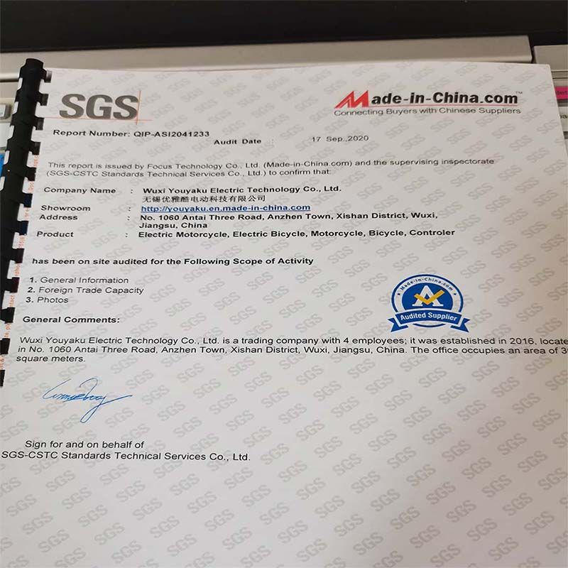 2021 Hot Sell and Cheaper Southeast Asian Model of Electric Motorcycle
