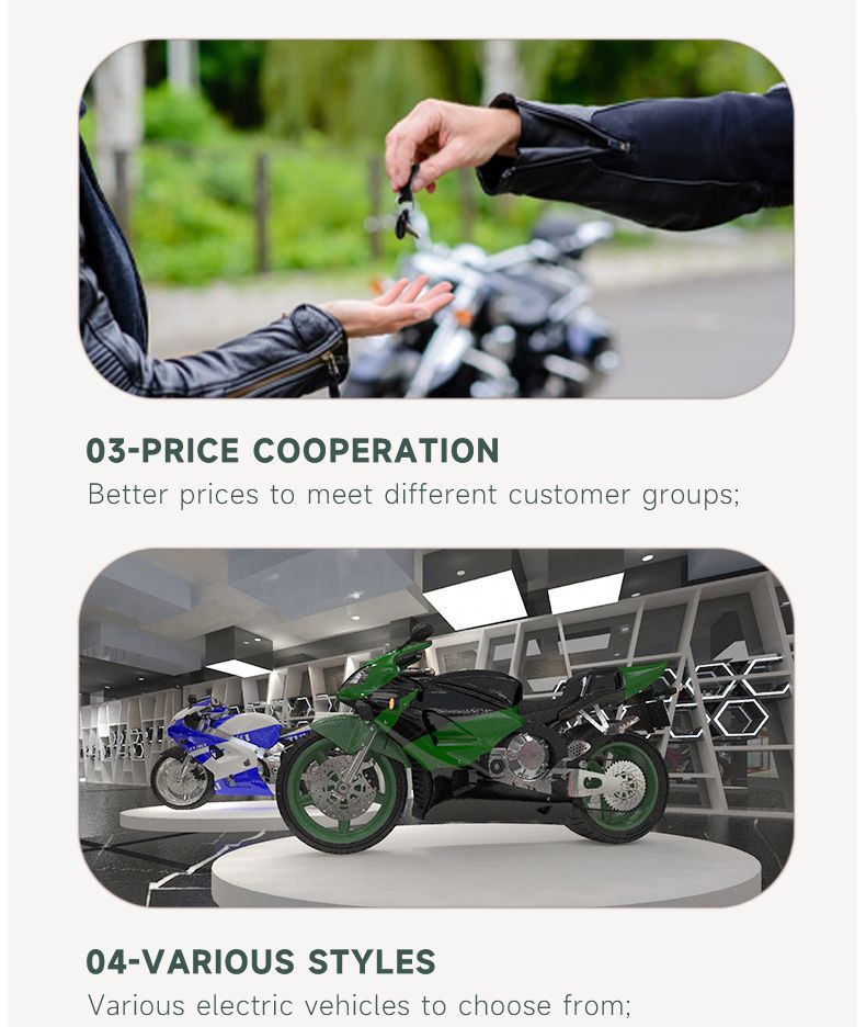 1500W Two Wheel Electric Motorcycle with Pedal