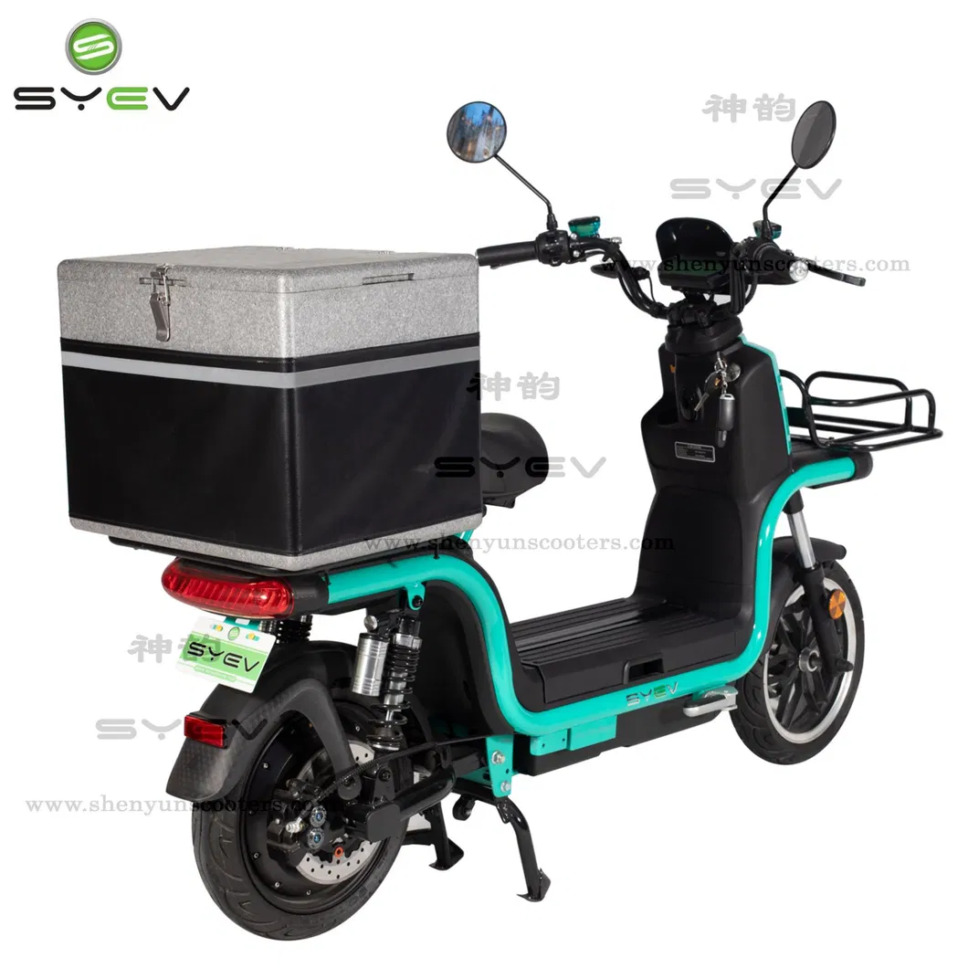 Powerful 1200W Motor Electric Scooter for Pizza Delivery Bike From Wuxi Shenyun