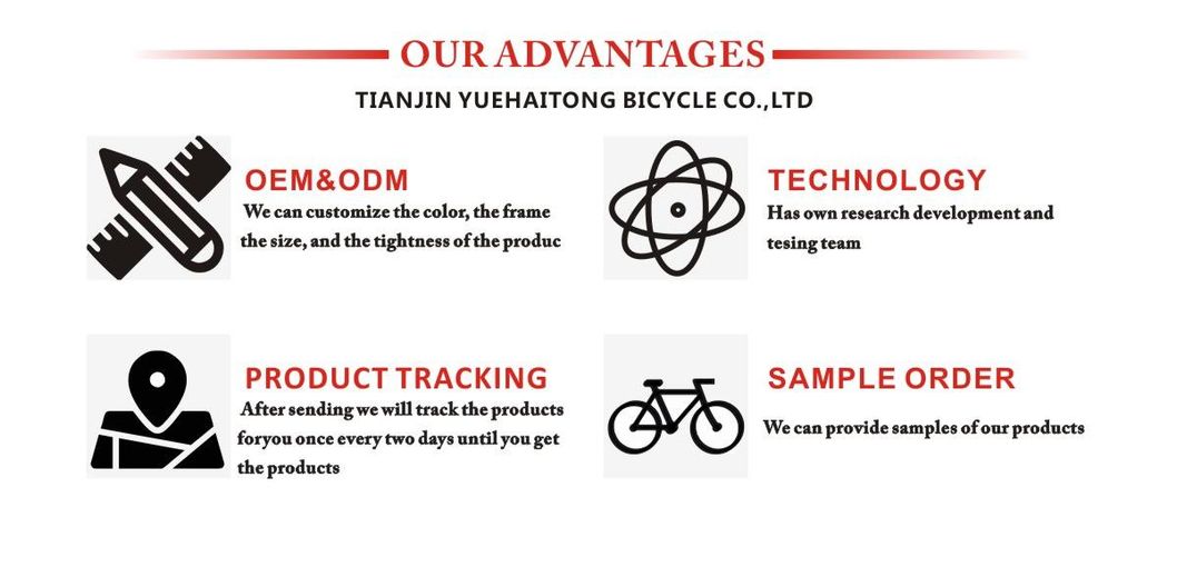 Bicycle Factory Deore 1*10 Mountain Bike (MTB25)