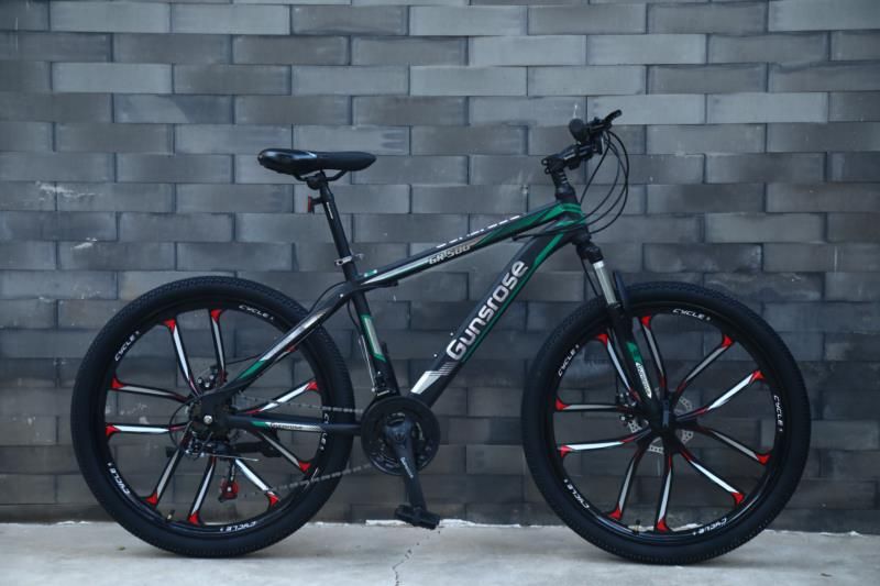 Ten Knife Wheel MTB Variable Speed Steel Frame Mountain Bike for Adult
