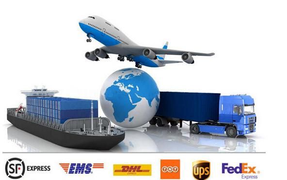 Diesel Fuel Common Rail Cp3 Pump 0445020225 0 445 020 225 for M-a-N