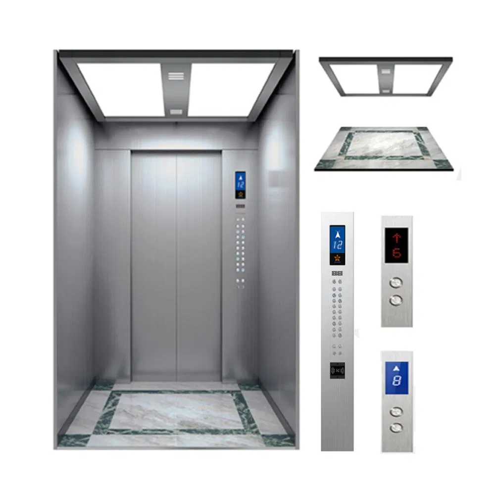 FUJI Customized Home Lift with Factory Price