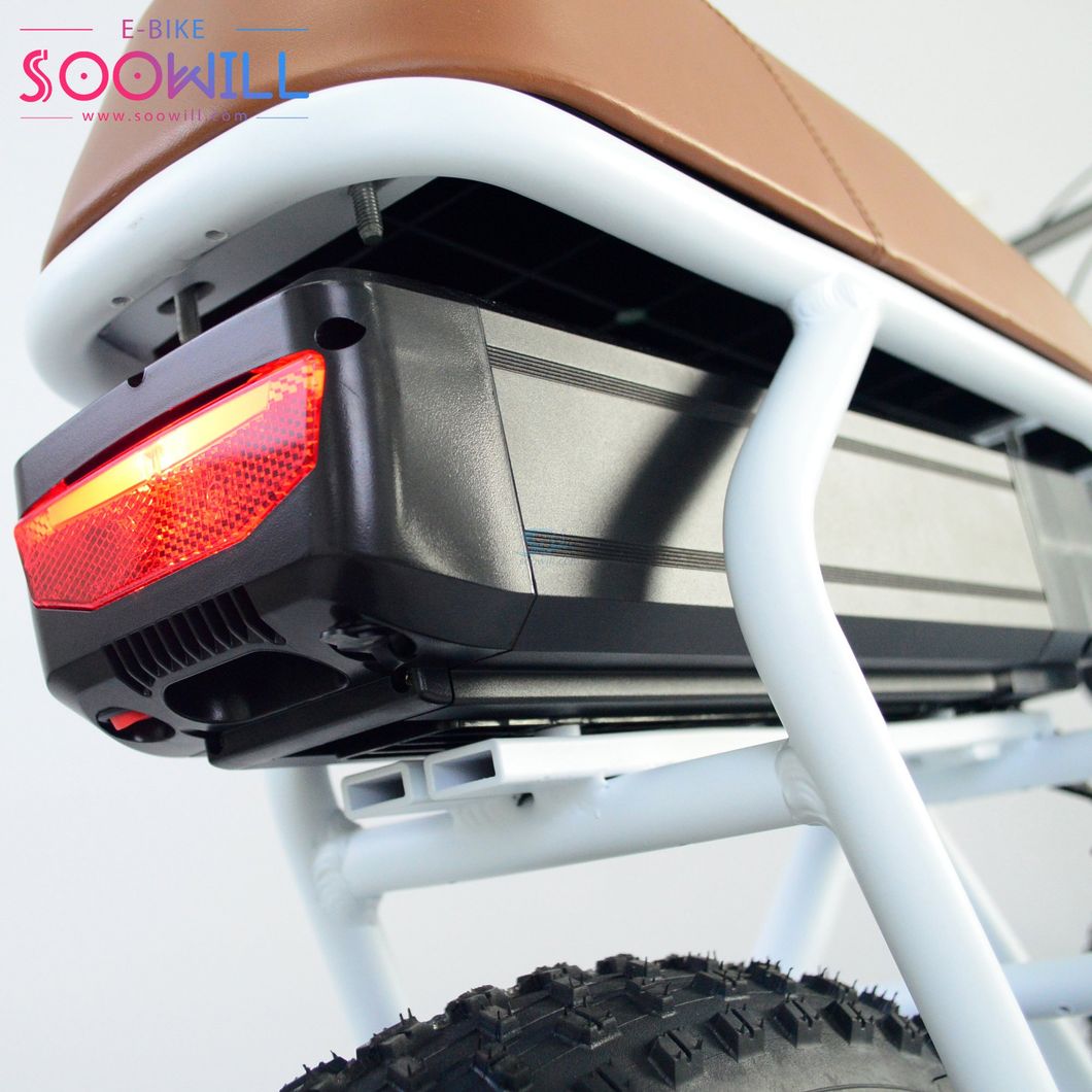 Widely-Used Bicycle Charge with High Speed and Long Range Electric Bike Motorcycles Scooter for Sale