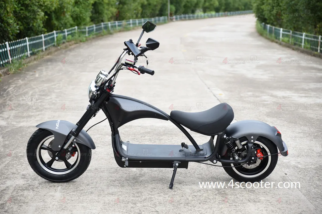 EEC 60V Citycoco Chopper Non Electric Scooter CE on Two Wheels Zhejiang Luqi Intelligent EEC Scooter