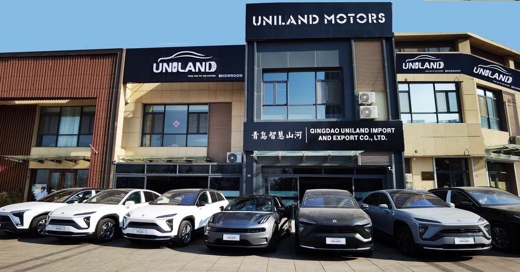 One Stop Solution for VW ID. 4 X LHD Cars EV Car Electric Car with Ternary Lithium Battery
