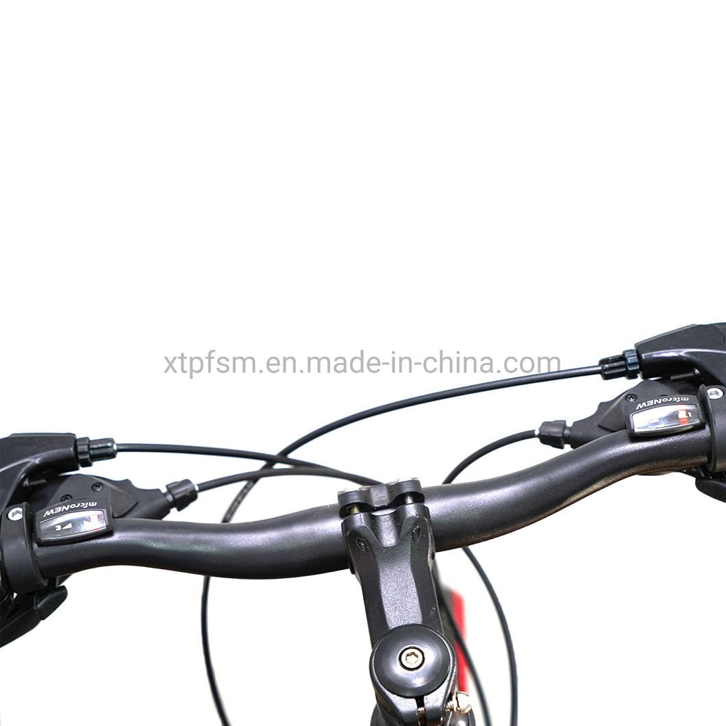 24 Inch High Carbon Steel Frame Mountain Bicycle Fashioned Road Racing Bike