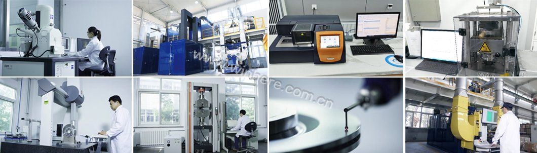 Customized Brake Disc for Front MAN HCV Rotor ECE R90