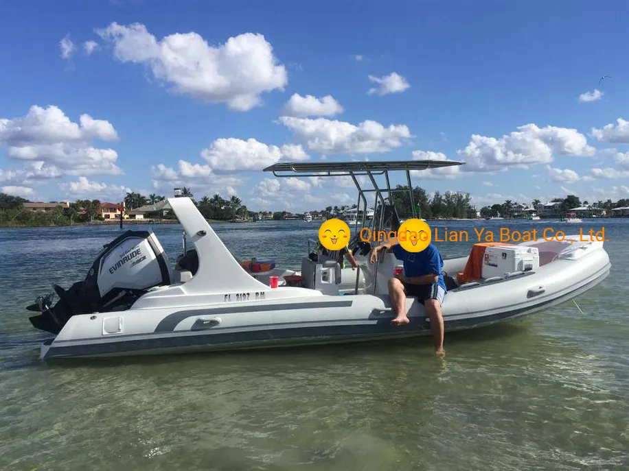 Liya 6.6m Rigid Inflatable Boat Hypalon Rib Boat