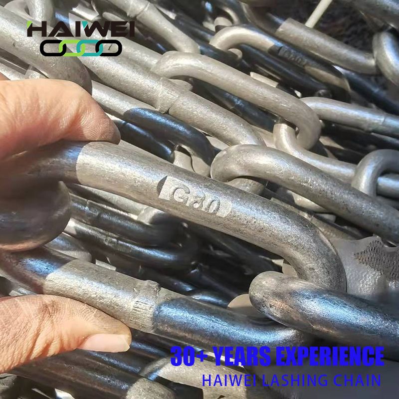 Lashing Chain 16*100/19*100 for Car Binding and Port