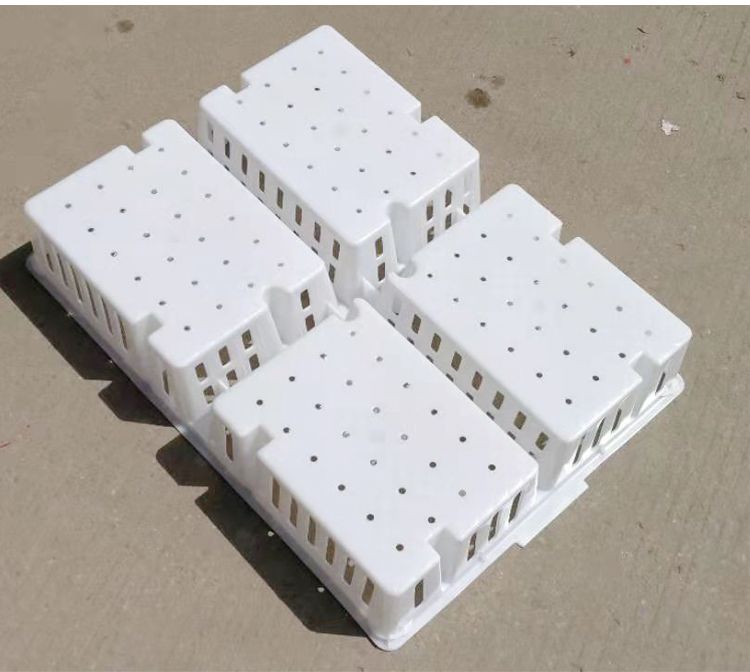 Plastic Chick Delivery Box for Hatchery Chick Turnover Box Four-Grid