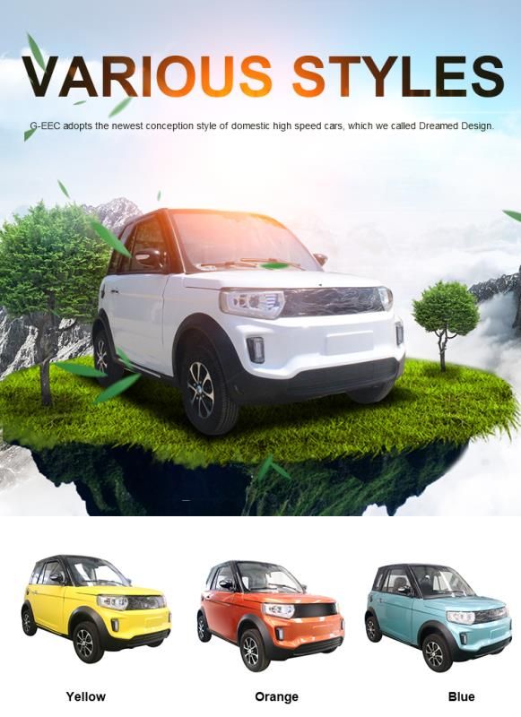 2021 Hot Sell Electric Car Made in China with The Cheapest Price and EEC Certificate Brand New One