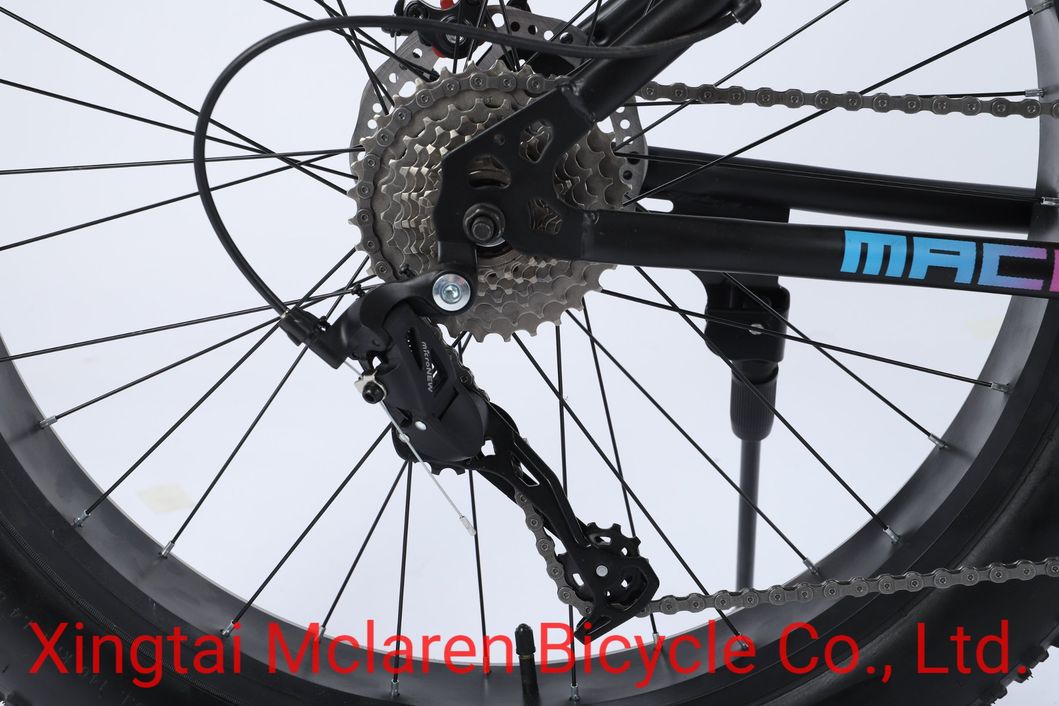 Cheap Price 26inch Utility Bicycle Multispeed Mountain Bike with Luggage Carrier