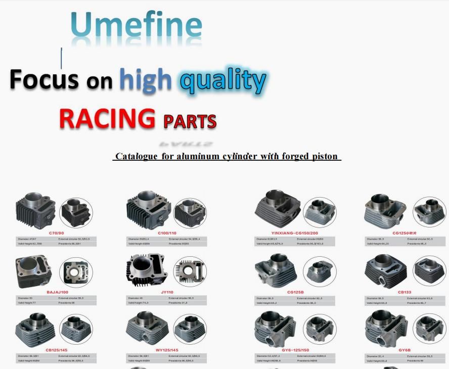 New Arrival Cmx300-a Cbf300n CB300f Motorcycle Cylinder for Honda Cbr300 Motorcycle Engine Parts