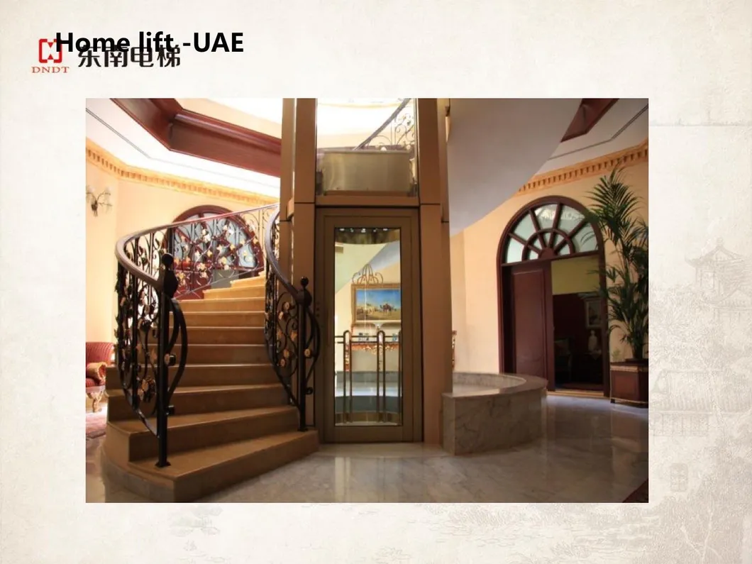 Commercial Passenger Elevator Home Lift Elevator for Shopping Mall and Office Building