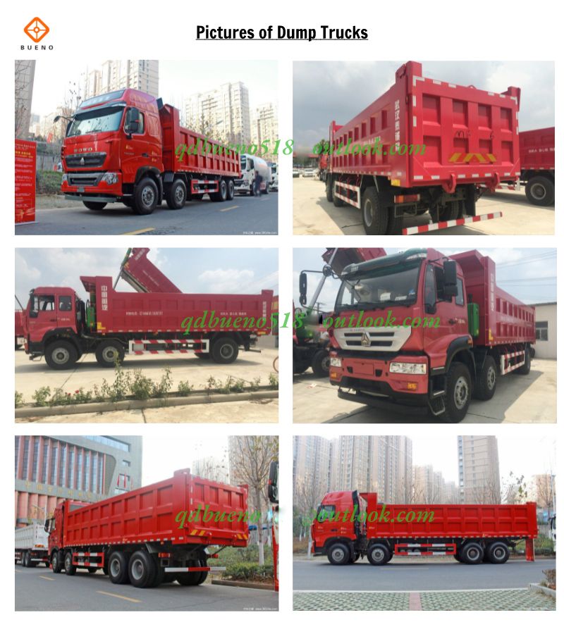 30cbm 360HP 8*4 12 Wheels New Tipper Euro3 Left Hand Driving LHD Sinotruk HOWO Dump Truck