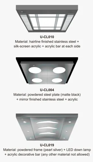 800kg 10 Person Elevator From Elevator Manufacturer with Machine Room