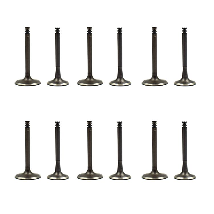 OEM Quality Automobile Engine Parts 048109601b Inlet Engine Valve