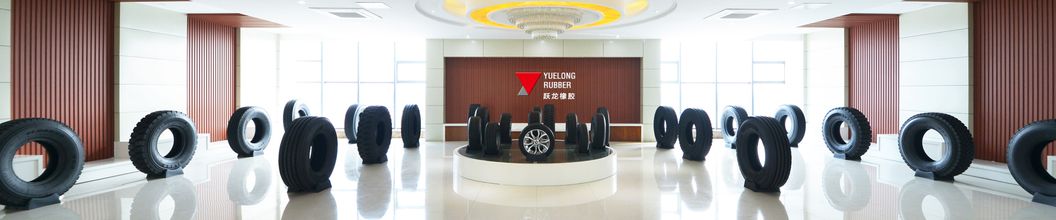 Aeolus, West Lake Truck Bus Tyre, TBR, Light Truck, Steer and Trailer Tyre CS68 (315/80R22.5)