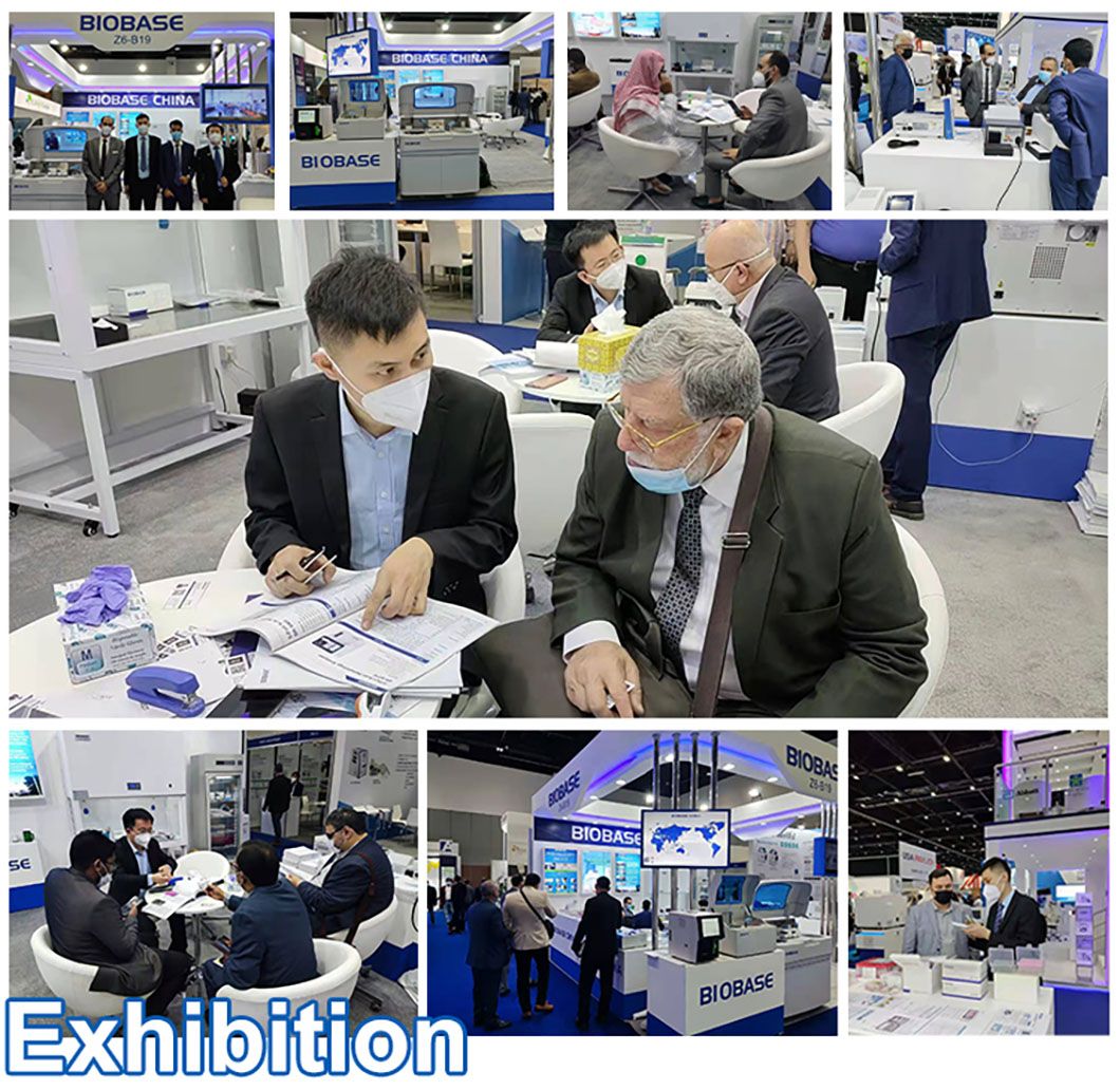 Biobase High-Speed Universal Disintegrator Grinding Equipment for Grinding Oiliness