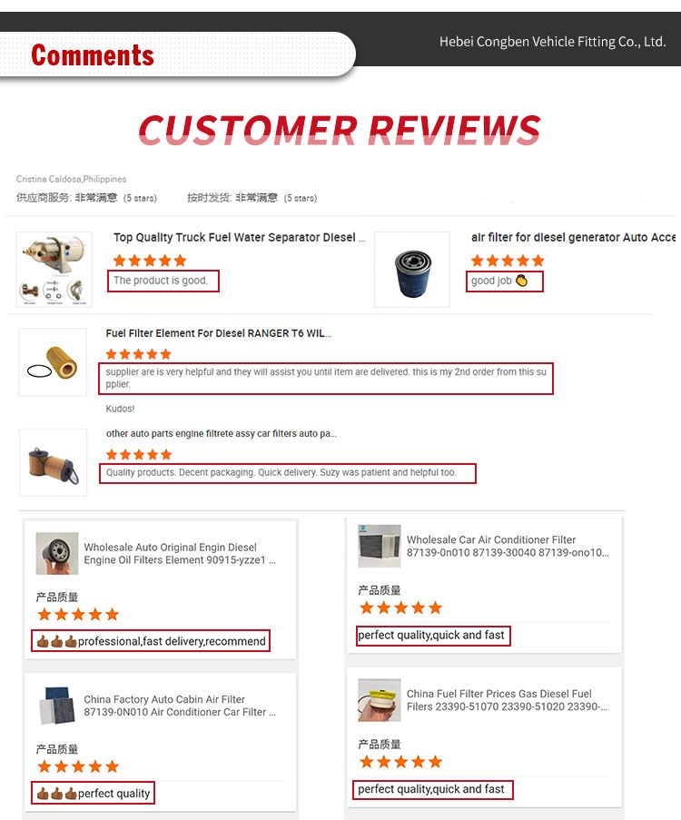 Auto Diesel Generator Fuel Filter 23300-21010 for Toyota Camry Lexus