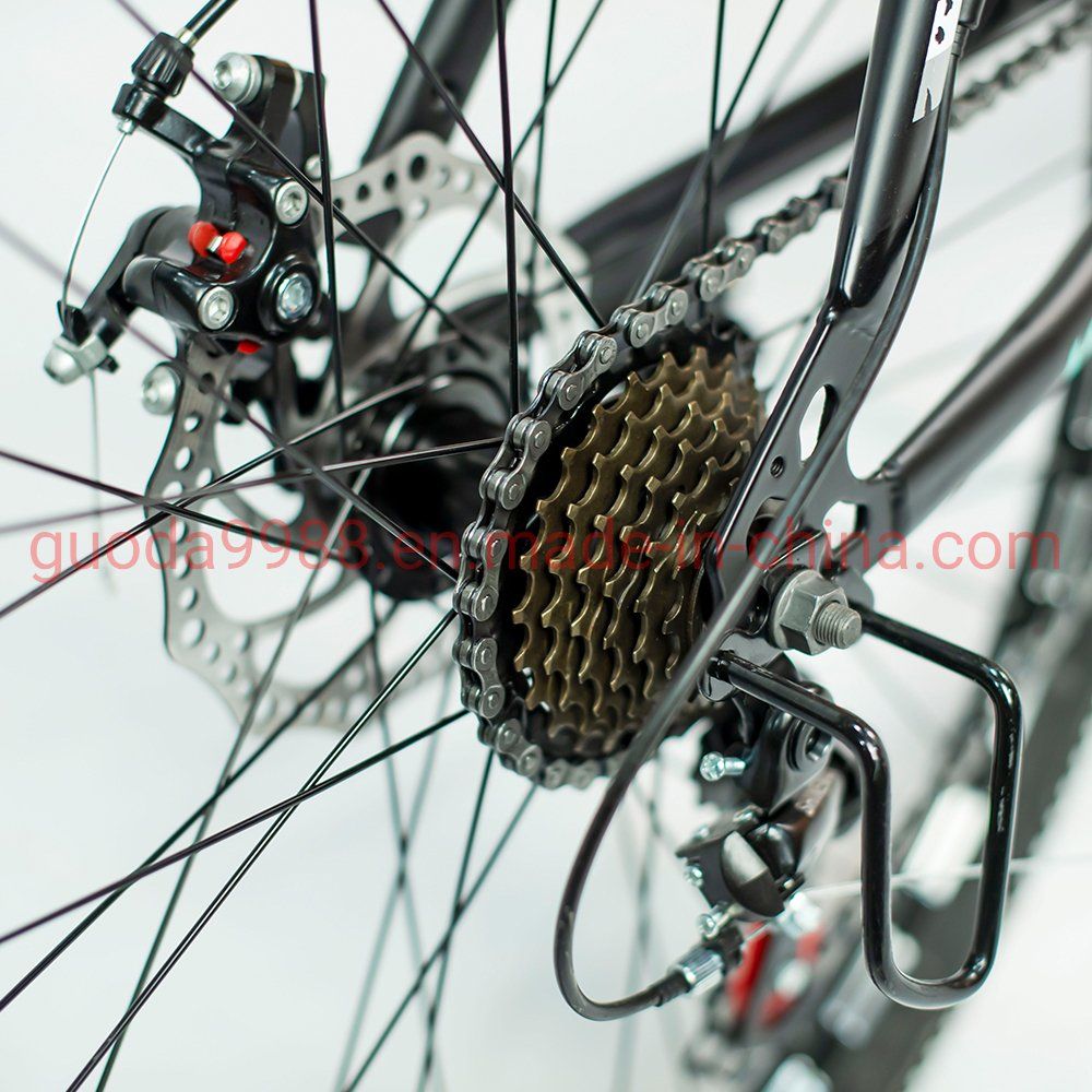 Quality 26/27.5/29 Inch Variable Speed Double Disc Brake Mountain Bike