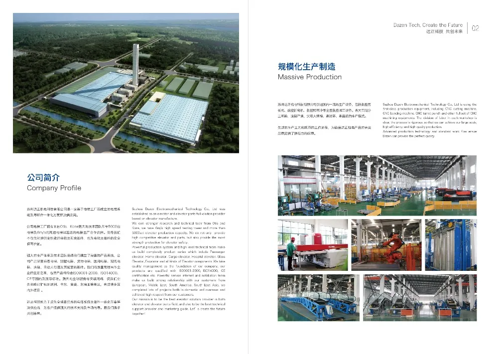 Luxury Design Elevator Factory in China 800kg Commercial Passenger Elevator Lift Price