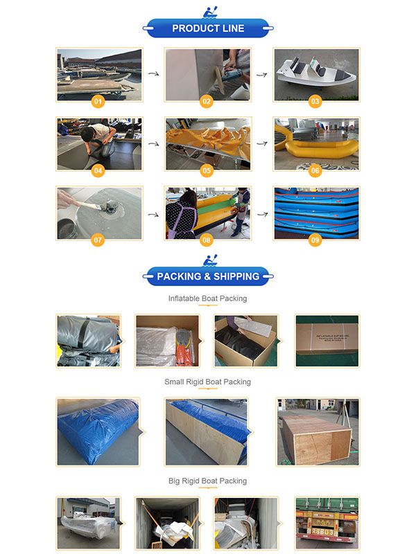 Ilife Ce Certificate Hypalon or Catamaran